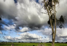 星空体育：梅西加盟巴黎發布會直播地址.