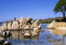 朱芳雨：2002世錦賽首次對陣夢之隊 敢打敢拼為今後積累經驗.